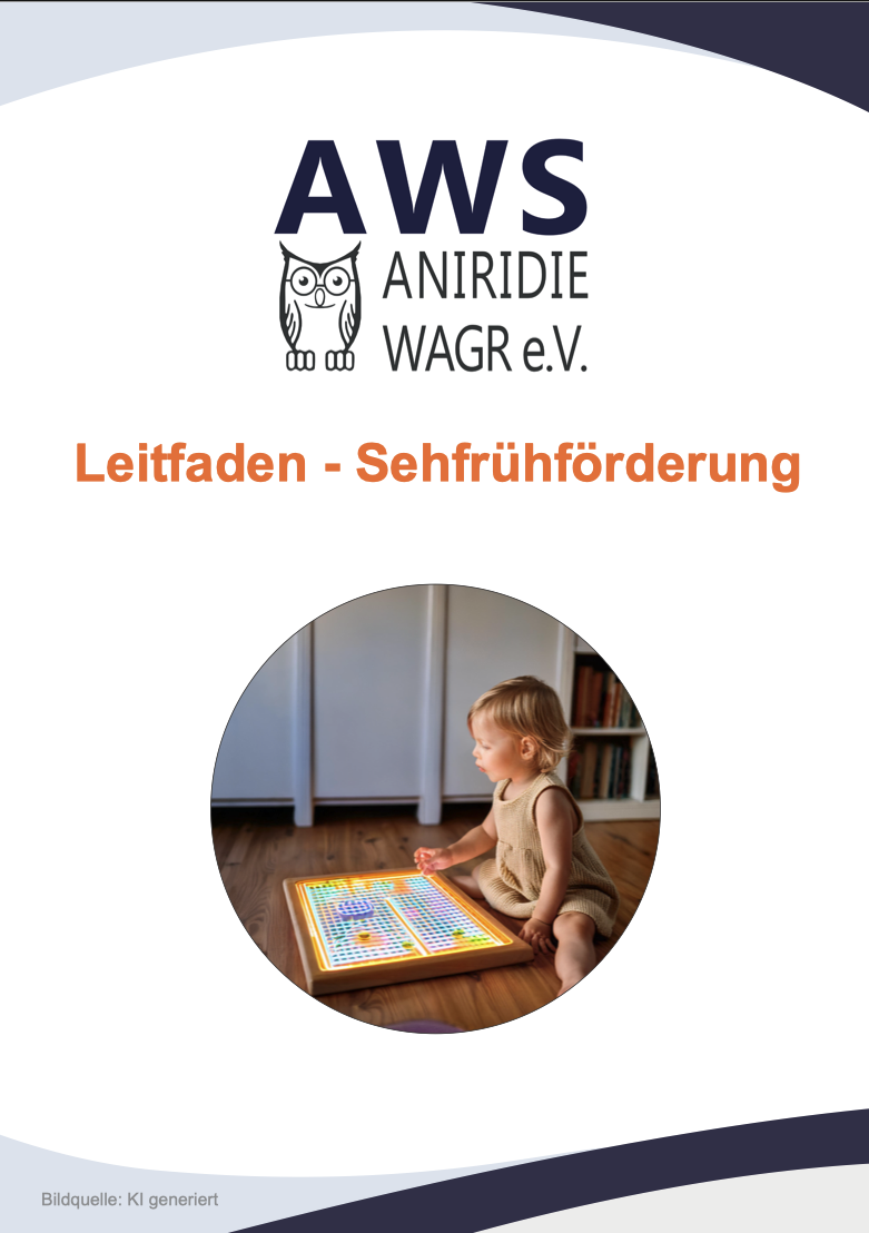 Titelseite des Leitfadens Sehfrühförderung